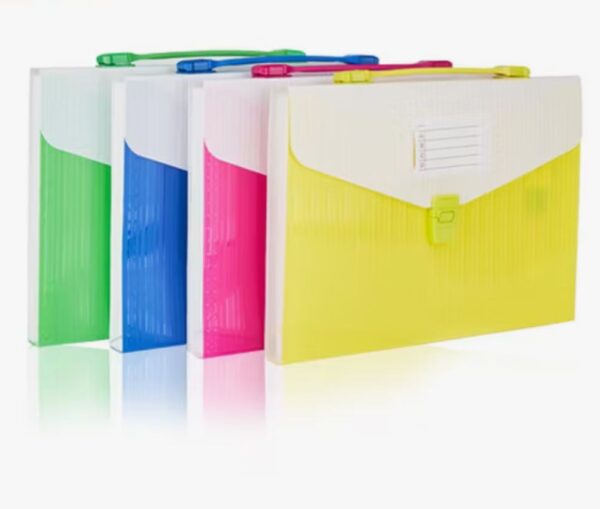 CARPETA DE ARCHIVOS DE 16 COMPARTIMIENTOS